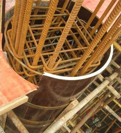 魯森建材暢銷建筑圓模板 河南木質圓模板